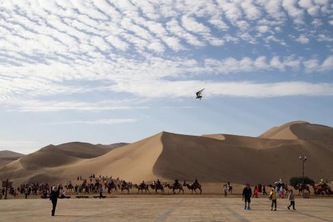 Desert Journey 8