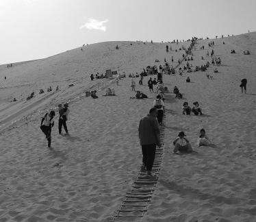 Desert Secret Realm 11