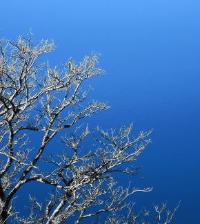 sunward branch 2