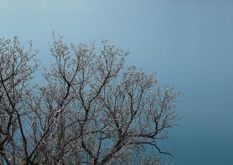 sunward branch 4