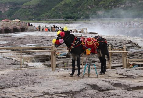 By the Yellow River 6