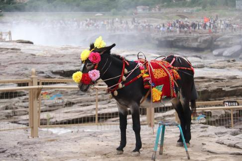 By the Yellow River 8