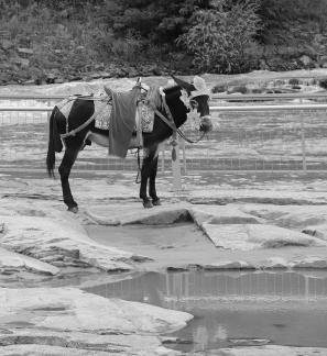 By the Yellow River 3