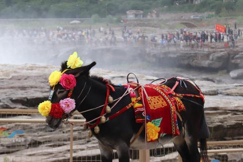 By the Yellow River 9