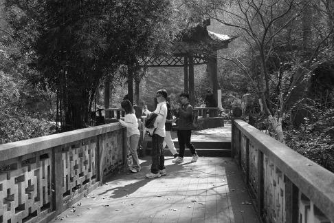 Journey to Yuelu Mountain 23