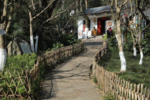 Journey to Yuelu Mountain 26