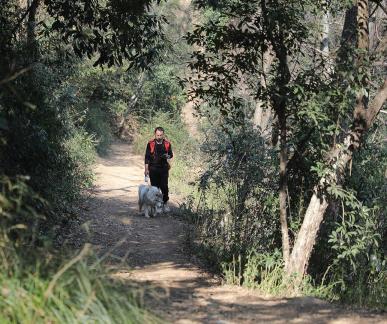 Journey to Yuelu Mountain 31