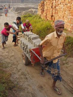 Brick transporter