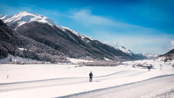 Skiers at Alps