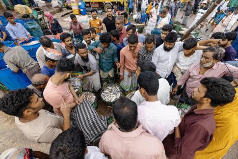 Trading in the fish market