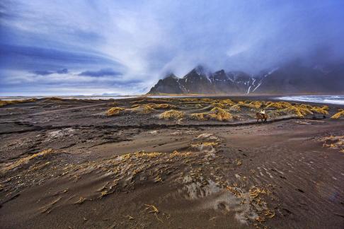 Iceland Horse Riding