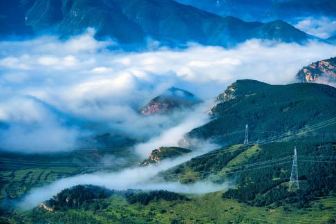 Fog Lock Farmland