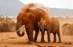 Mother child mud sand bath