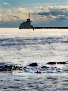 Sea in Feodosia