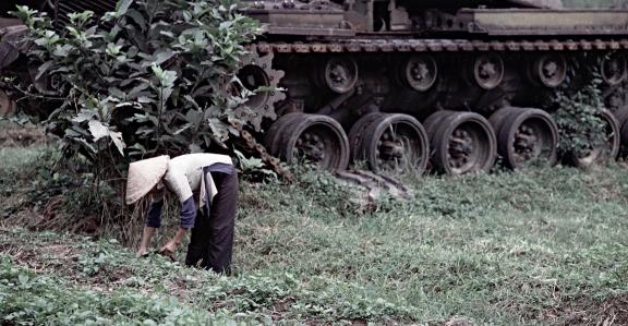 Tank in the garden