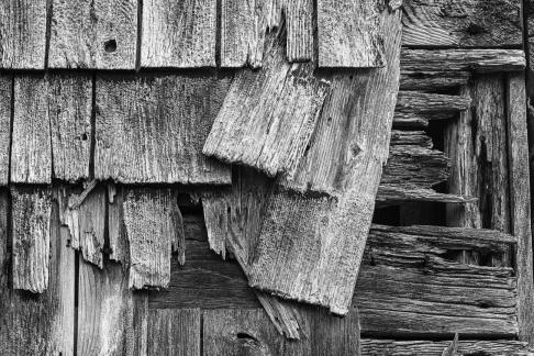 Lubec Wood Textures