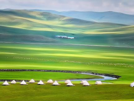 Grassland scenery