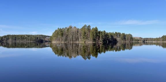 Coastline of the lake 2