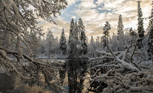 After snowfall