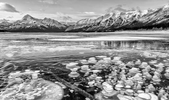 Abraham Lake 53