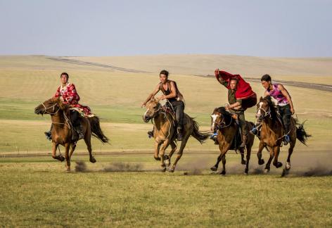 EAGLES ON THE GRASSLAND