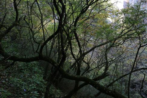 The Beauty of Mountains 3