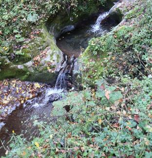 mountain stream 6