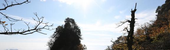 Green Green Mountains 7