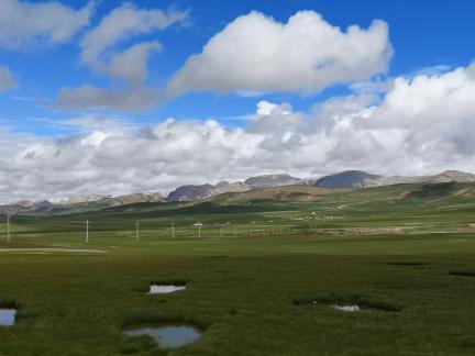 Qingqing Grassland 7