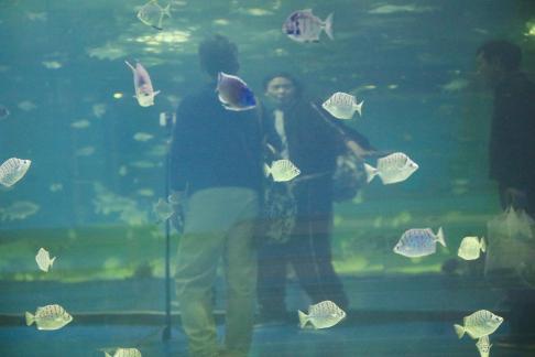 Blue border overlapping shadow 3