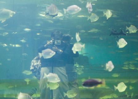 Blue border overlapping shadow 4