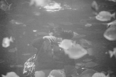 Blue border overlapping shadow 5