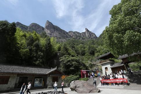 Green grows on the cliffs 3