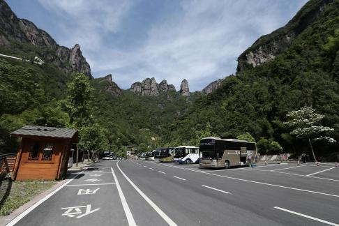 Green grows on the cliffs 4