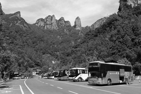 Green grows on the cliffs 5