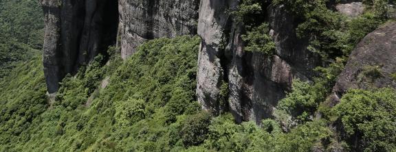 Green between cliffs 25