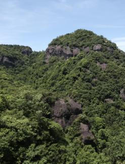 Green between cliffs 28