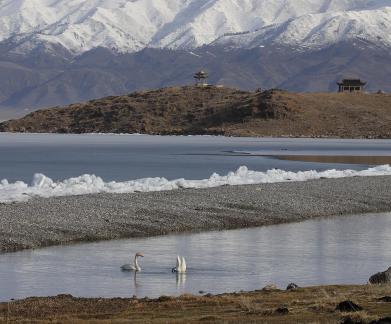 Seeing the snow capped mountains 1