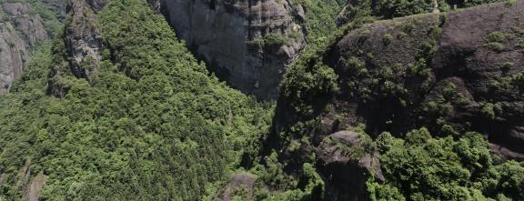 Green mountains are always here 5