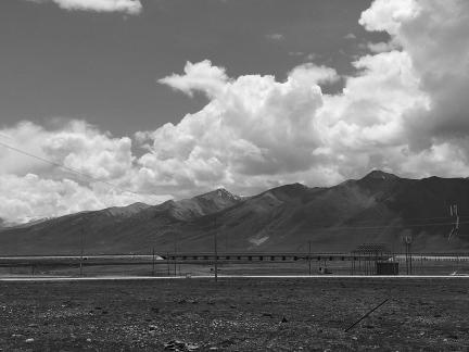 Yunmu Green Field 33