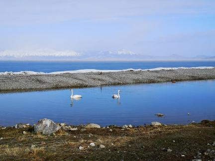 Long Song of Winter Silence 35