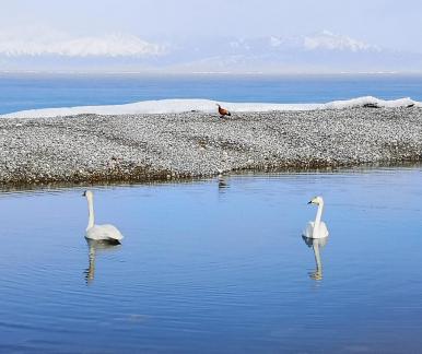 Long Song of Winter Silence 36