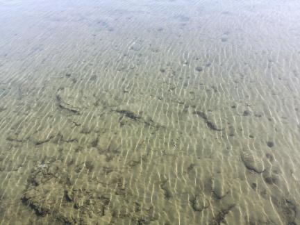 Blue waves and cloud shadows 2
