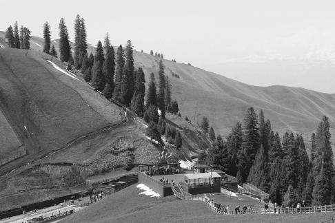 Snowy Ridge Pine Plains 17