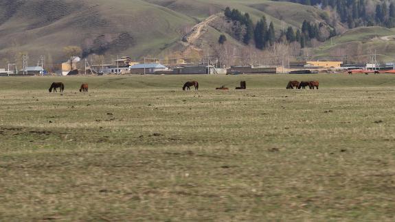 Dian Shang Pastoral Song 1