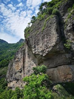 Green Wilderness and Tranquility 30