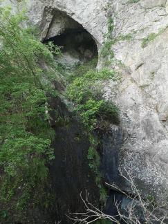 Green Wilderness and Tranquility 31