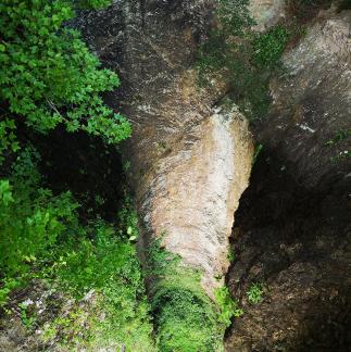 Green Wilderness and Tranquility 32