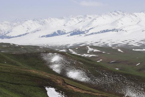 Pure Snow Mountain 7