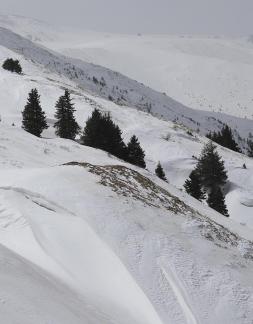 Empty field white painting 6